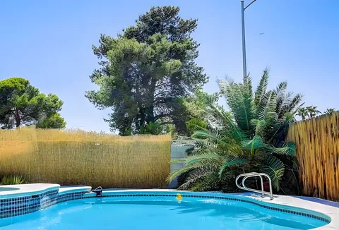 Swimming pool surrounded by mature palm trees at a rental property we manage in Las Vegas, Nevada